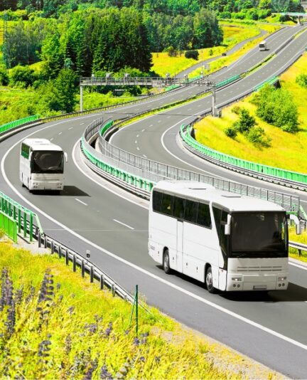 Untitled design - 2025-09-15T085233.078